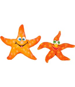 Ad leto zeesterren ass 8x7x2cm 