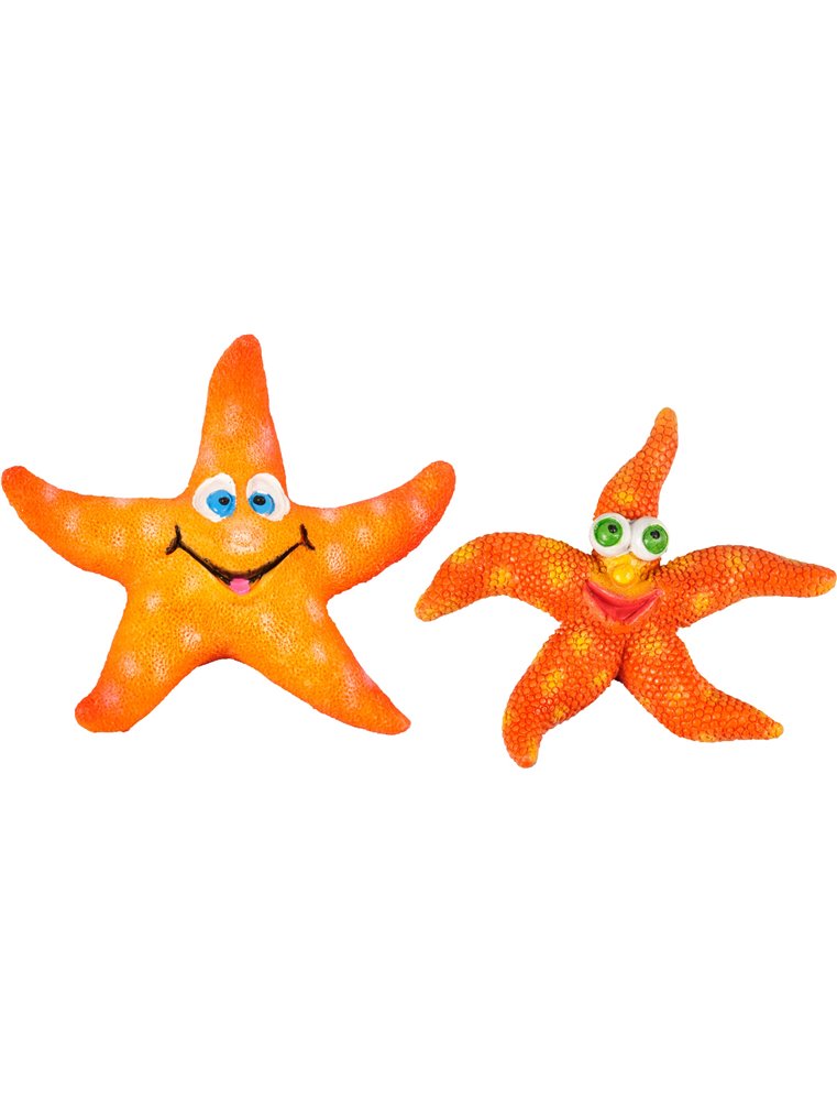 Ad leto zeesterren ass 8x7x2cm