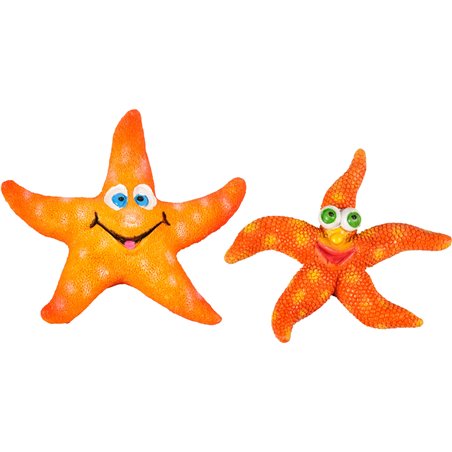 Ad leto zeesterren ass 8x7x2cm 