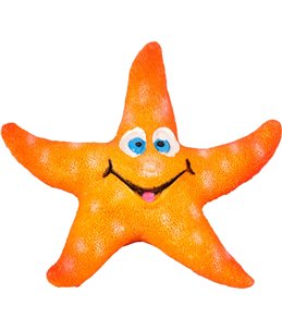 Ad leto zeesterren ass 8x7x2cm