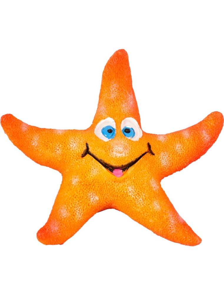 Ad leto zeesterren ass 8x7x2cm