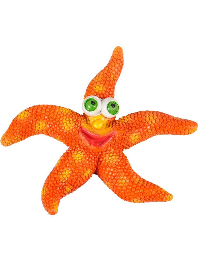 Ad leto zeesterren ass 8x7x2cm