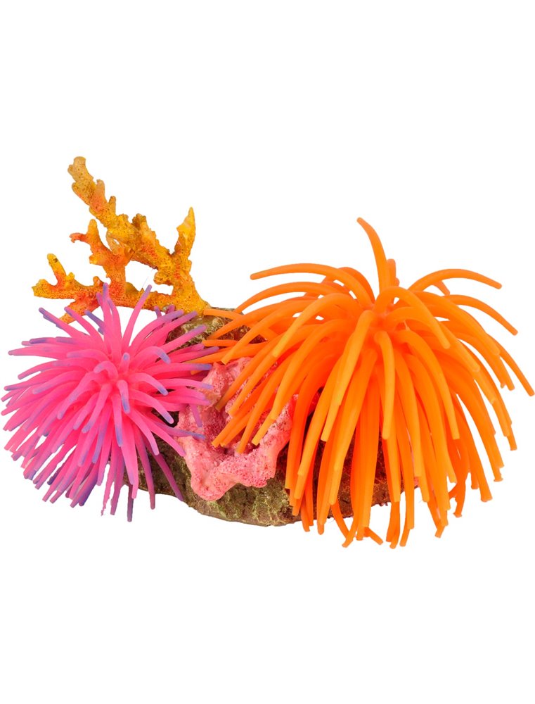 Ad leo anemoon ass 13x9x11cm