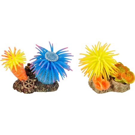 Ad leo anemoon ass 10x7x7cm 