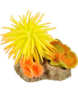 Ad leo anemoon ass 10x7x7cm