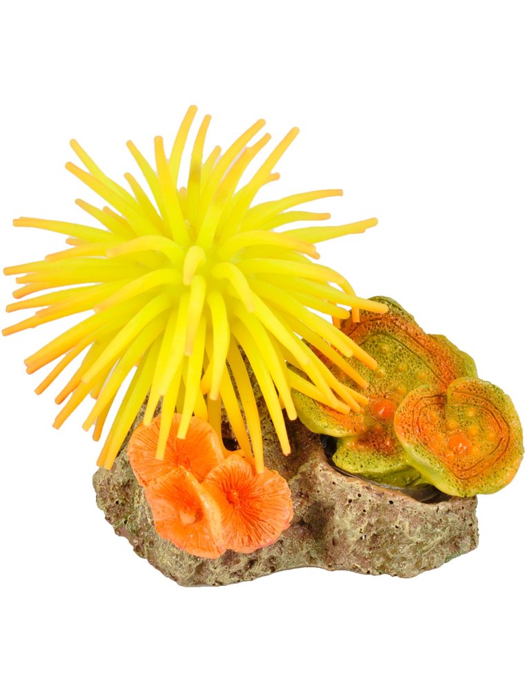 Ad leo anemoon ass 10x7x7cm