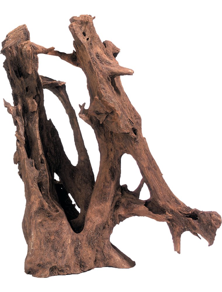 Mangrove wortel puur hout l 35-65cm