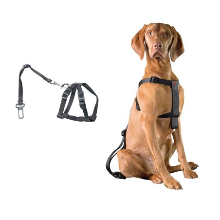 Dog-secure harnas met gordel