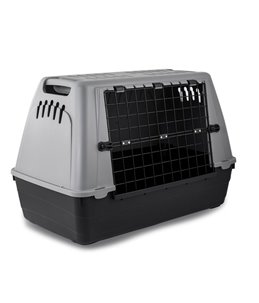Transportbox auto baron