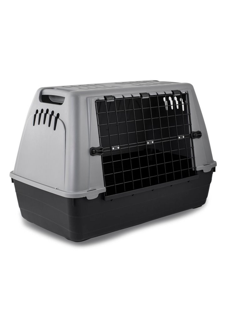 Transportbox Auto Baron