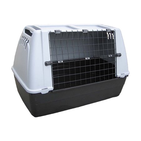 Transportbox auto baron