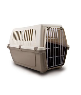 Transporter Roadster