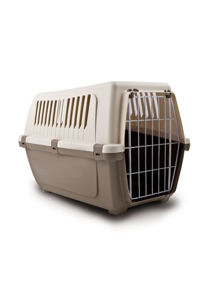 Transporter Roadster