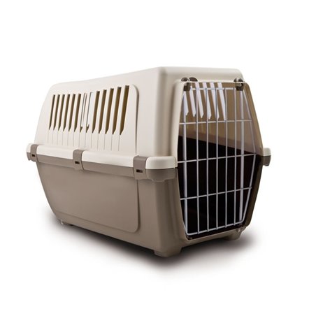 Transporter roadster