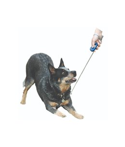 CLIX TARGET STICK 15-70CM