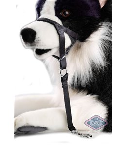 En Route Dog Control