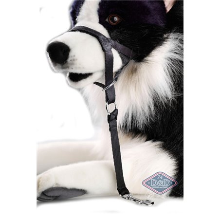 En route dog control