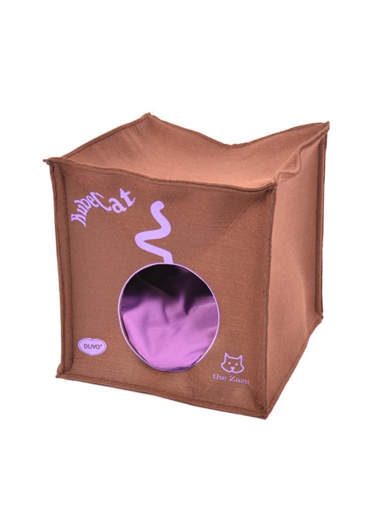 Kube kat