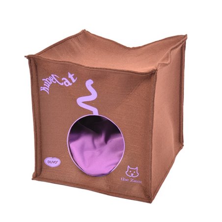 Kube kat