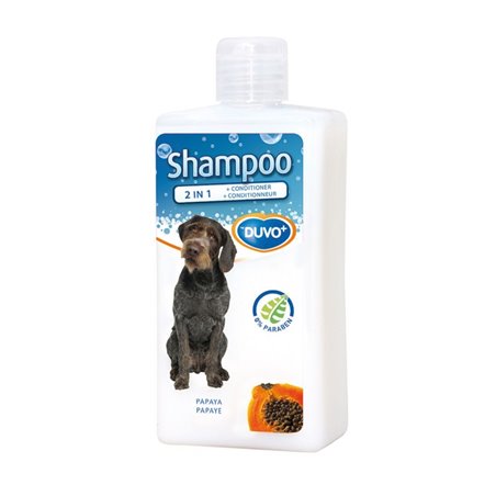 Shampoo 2 in 1