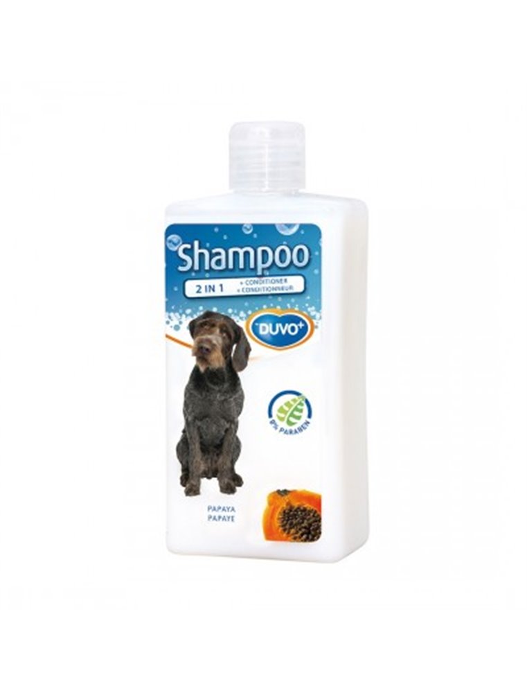 Shampoo 2 In 1