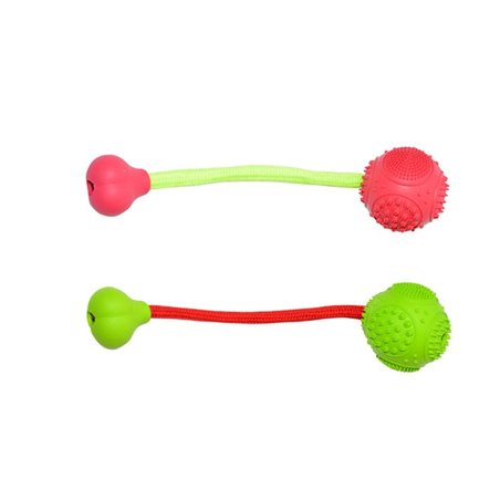 Rubber dental bal en been met koord