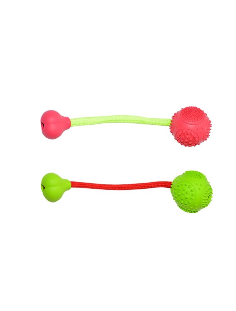 Rubber Dental Bal en Been met Koord