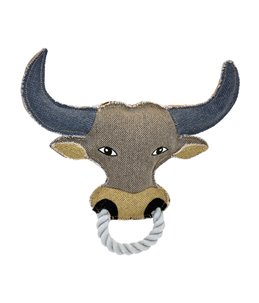 Canvas Stier