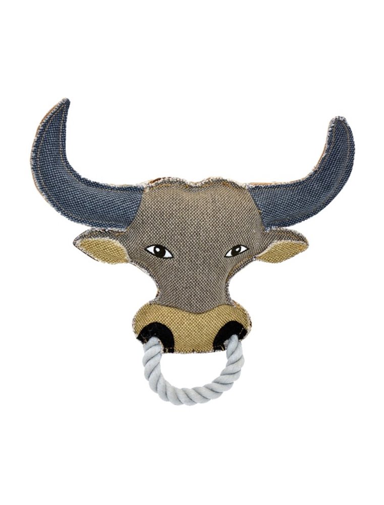 Canvas Stier