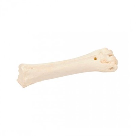 Bones! runderbot calcium