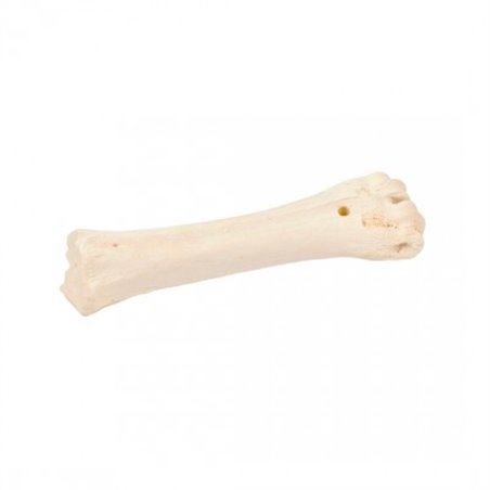 Bones! runderbot calcium