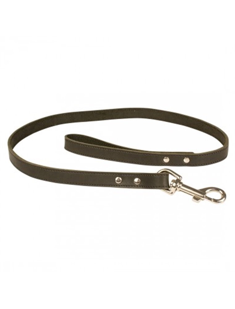 Classy Leder Leiband