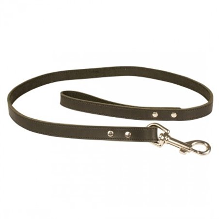 Classy leder leiband