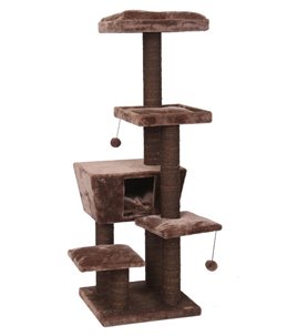 Krabpaal trend north dakota