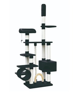 Krabpaal comfort kingdom