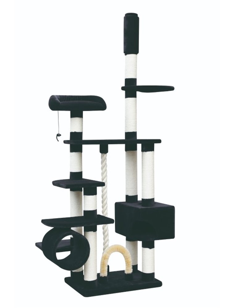 Krabpaal comfort kingdom