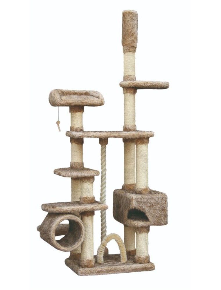 Krabpaal comfort plus kingdom