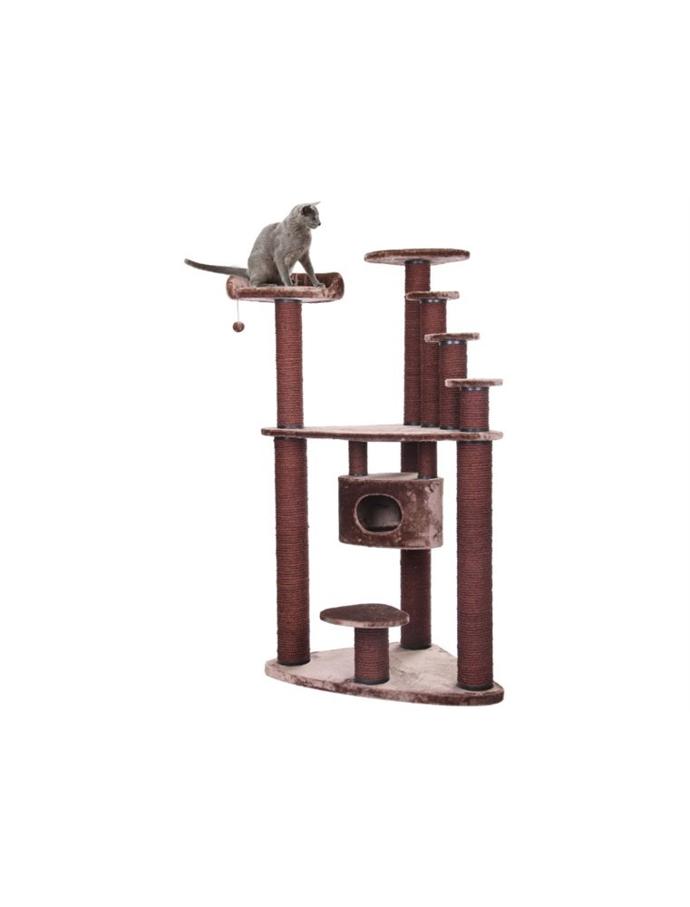 Krabpaal comfort plus rocky mountain