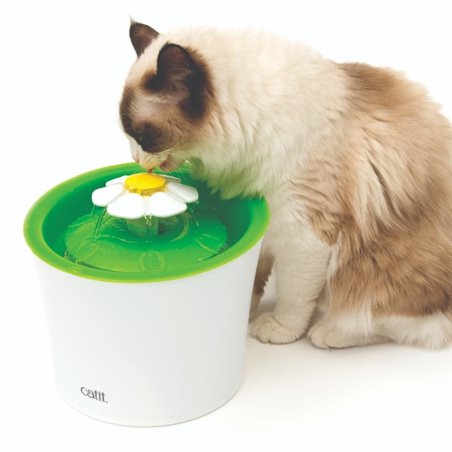 Ca senses 2.0 flower fountain