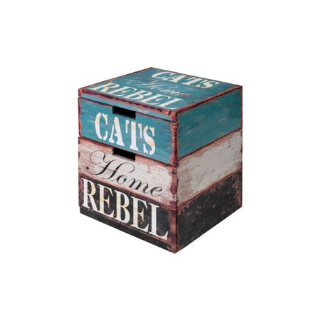 Pet ottoman cat rebel