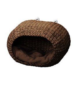 Radiator bed sunrise