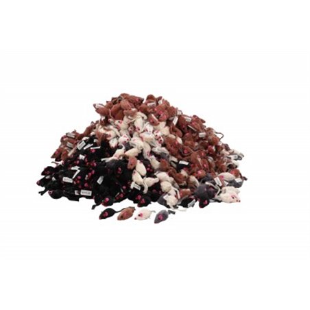 Nature bontmuisje korthaar