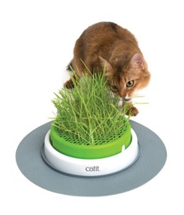 Ca senses 2.0 grass planter