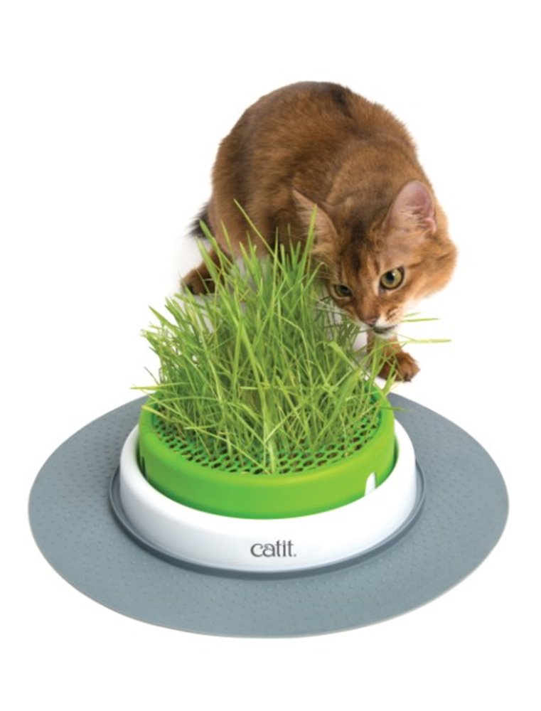 Ca senses 2.0 grass planter