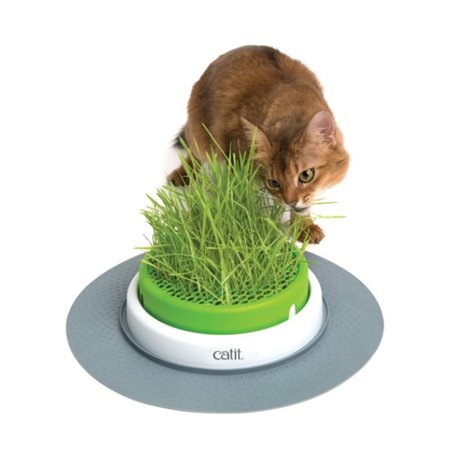 Ca senses 2.0 grass planter