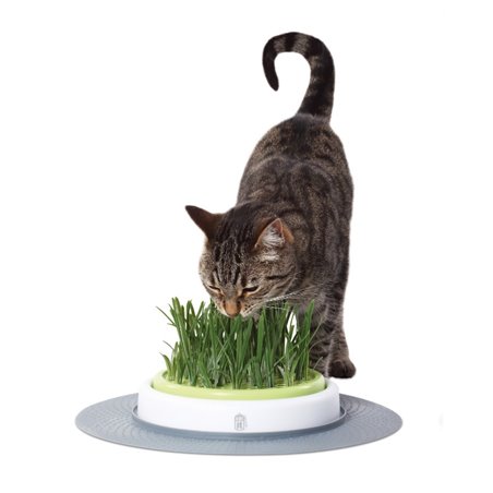 Ca design senses gras-kit