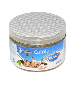 Catnip kruid