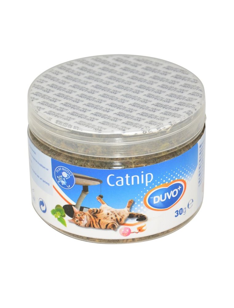 Catnip kruid