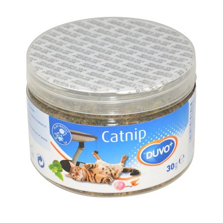 Catnip kruid
