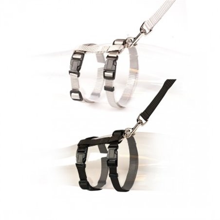 Grote kat wandelset uni